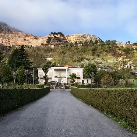 Gloria * Segni